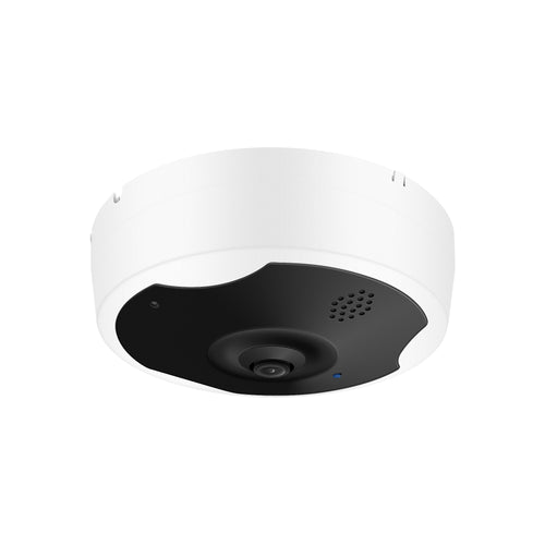 IPC-FE800 (8MP)