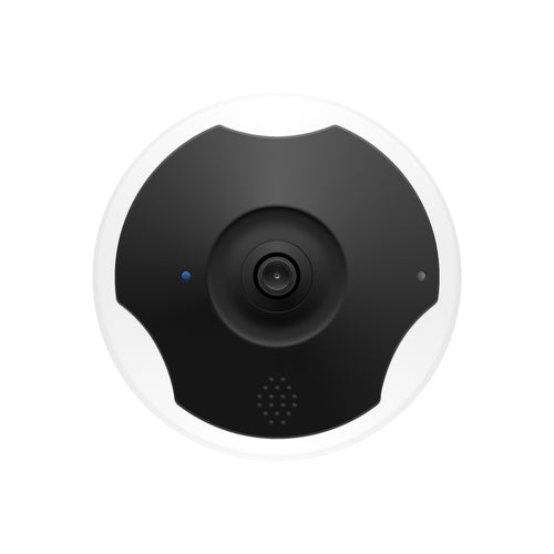 IPC-FE800 (8MP)